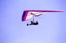 HANG GLIDERS!